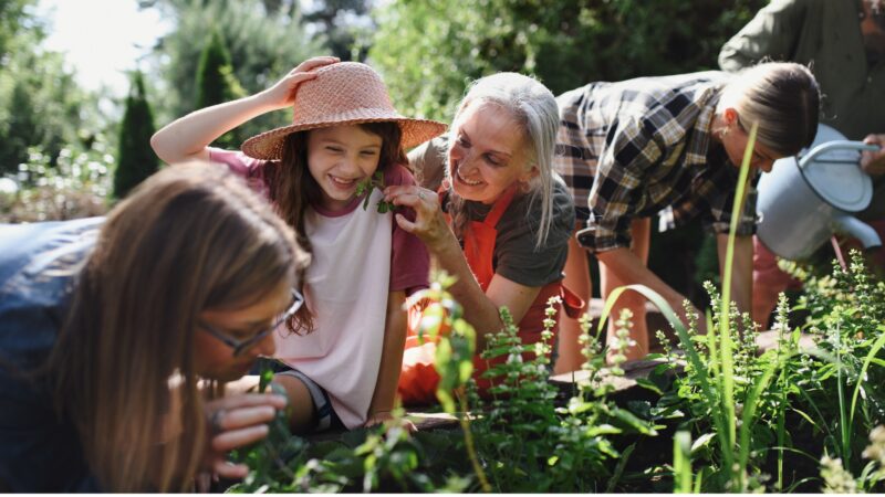 Volunteering in Communities
