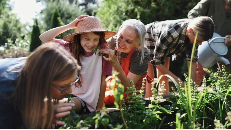 Volunteering in Communities