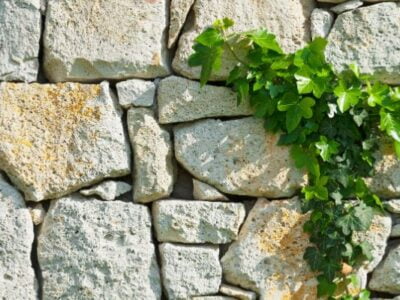 Rubble Walls building assistance