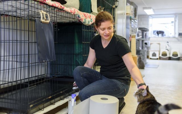 Cat Shelter Volunteer with CSAF