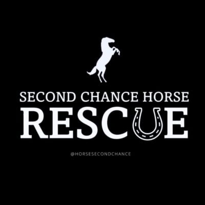 Second Chance Horse Rescue