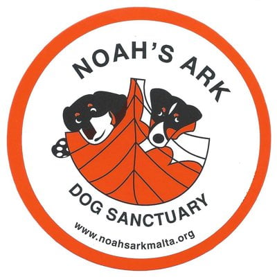 Noah's Ark