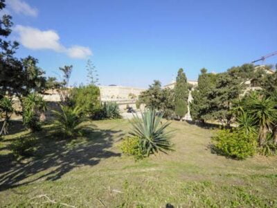 Gardener with Wirt Artna