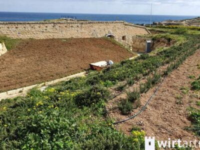 Gardener with Wirt Artna