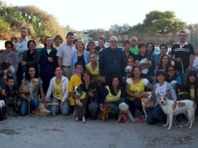 Shelter Volunteer with Island Sanctuary