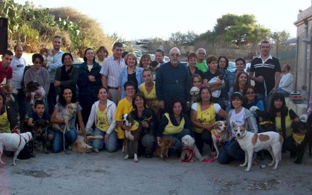 Shelter Volunteer with Island Sanctuary