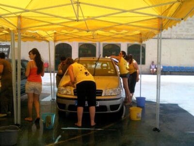 Shelter Volunteer with Island Sanctuary