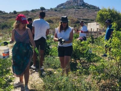 Environmental CSR / Team Building with Green Fingers Club