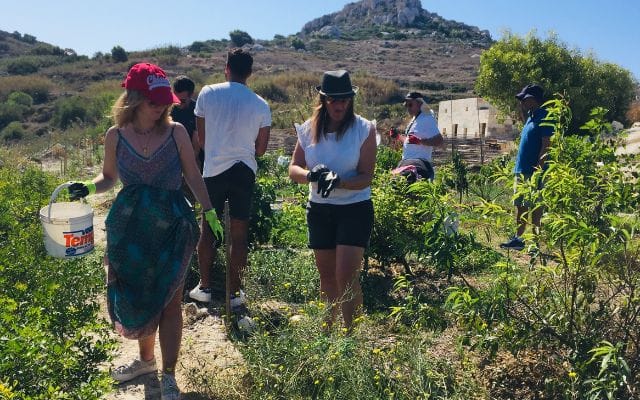 Environmental CSR / Team Building with Green Fingers Club