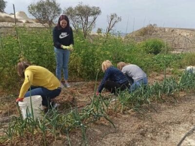 Environmental CSR / Team Building with Green Fingers Club