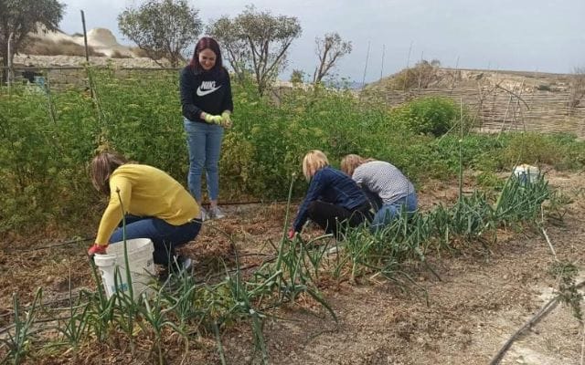 Environmental CSR / Team Building with Green Fingers Club