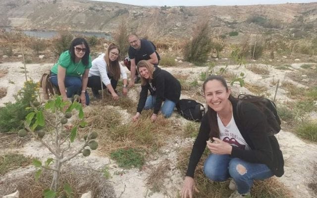 Environmental CSR / Team Building with Green Fingers Club