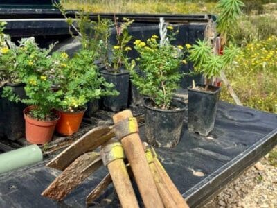 CSR & Team Building in Nature at Majjistral Park