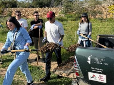 CSR & Team Building in Nature at Majjistral Park