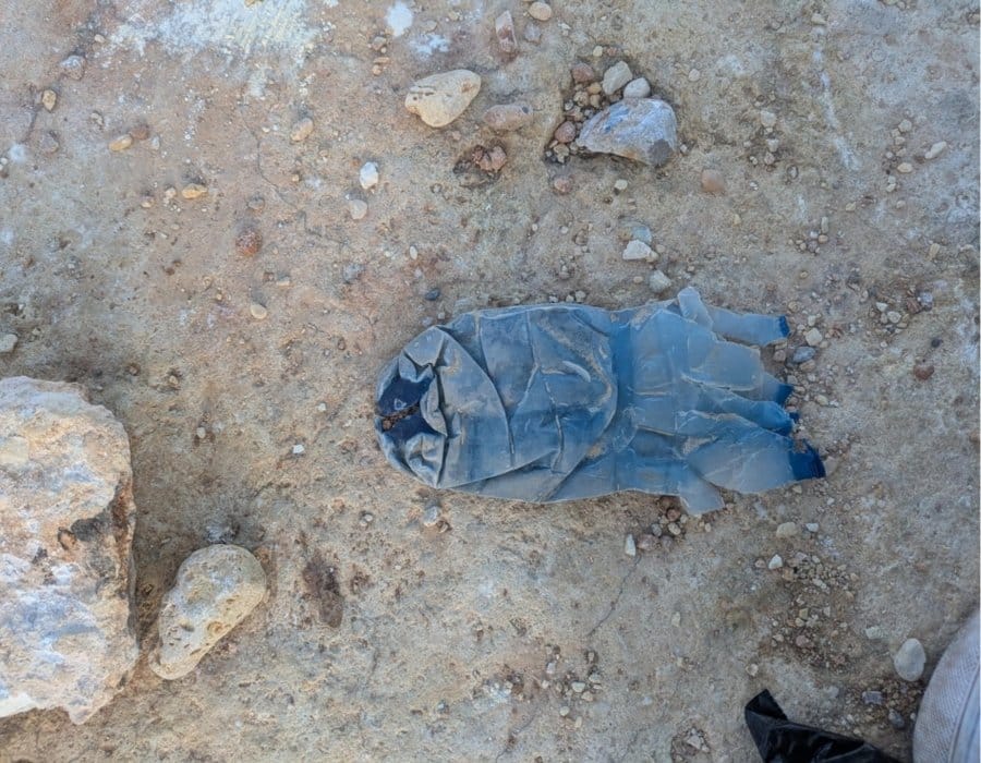 Eko Skola Cleanup