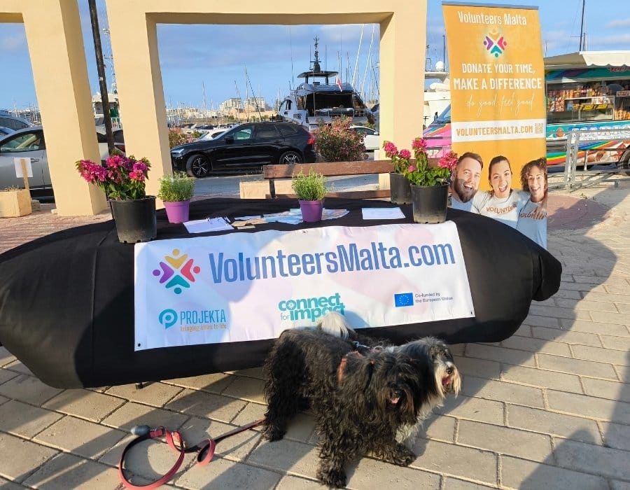 Volunteers Malta at Refugee Week