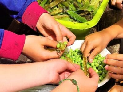Community Work Volunteer with Children