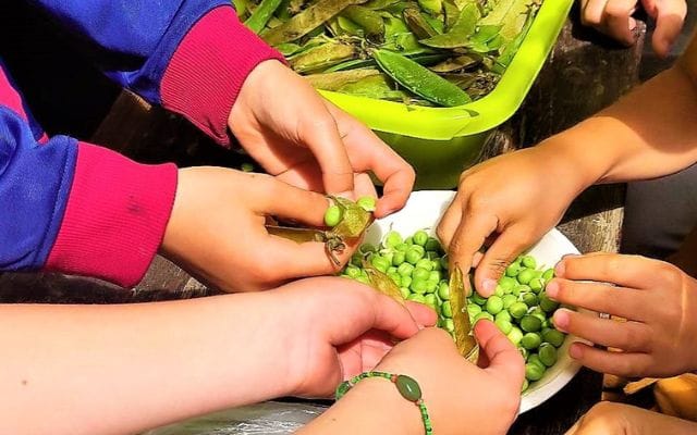 Community Work Volunteer with Children