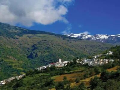 Forest Regeneration in Spain (2 months placement)