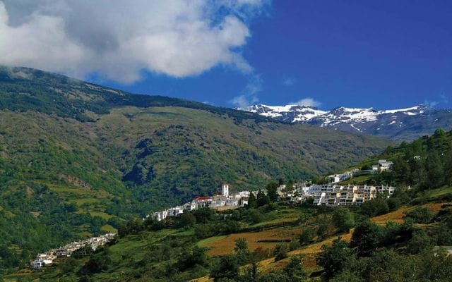 Forest Regeneration in Spain (2 months placement)