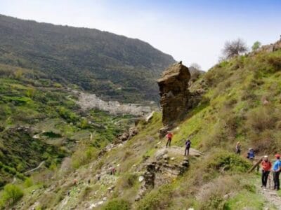 Forest Regeneration in Spain (2 months placement)