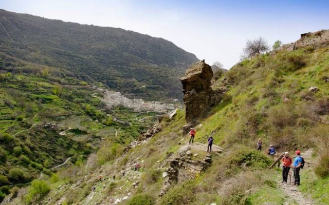 Forest Regeneration in Spain (2 months placement)