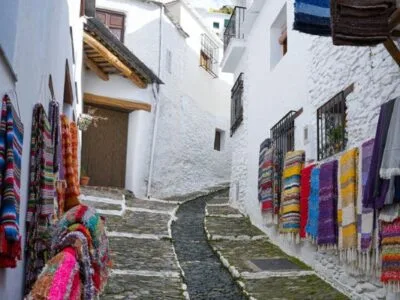 Forest Regeneration in Spain (2 months placement)