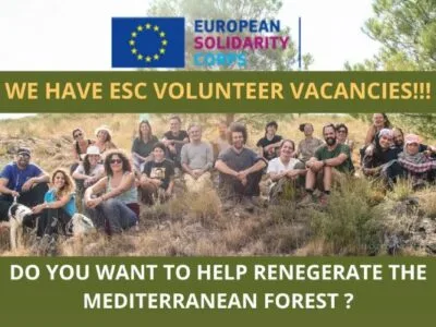 Forest Regeneration in Spain (2 months placement)