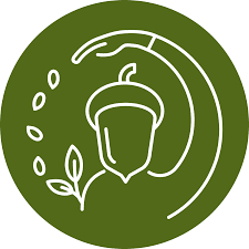 Asociación Semillistas