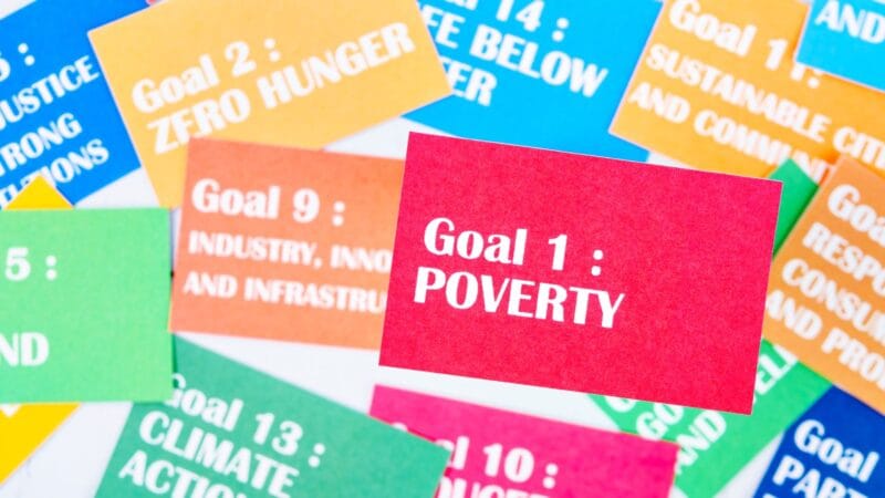 Volunteering and Sustainable Development Goals