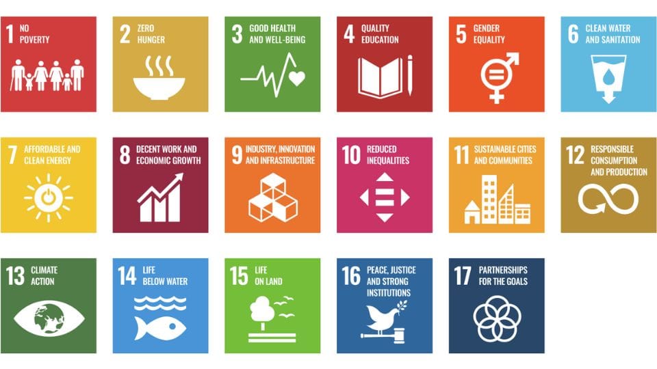 Volunteering and Sustainable Development Goals