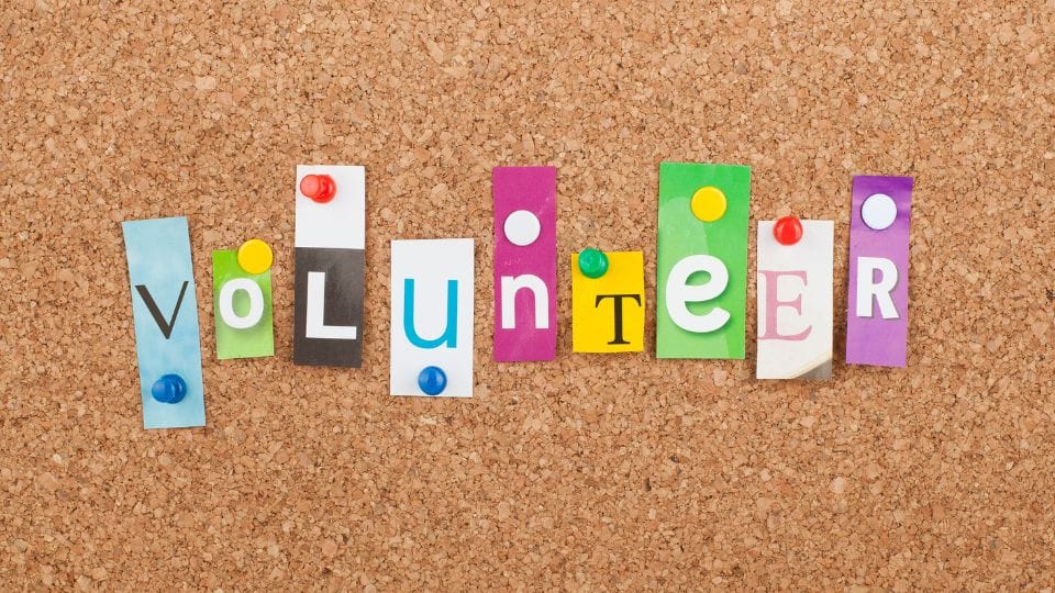 perfect volunteer opportunity
