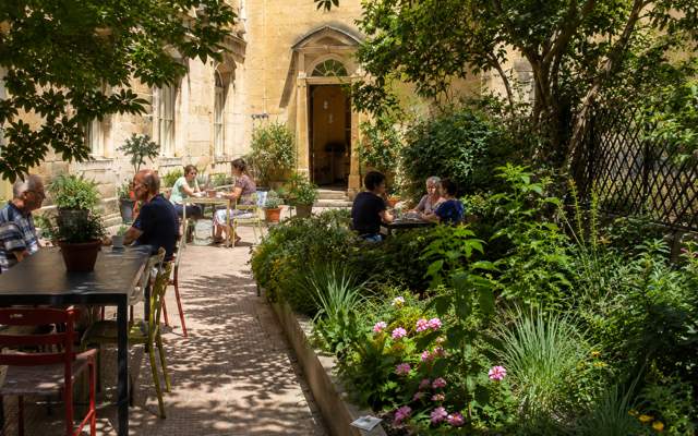 Volunteer Gardener