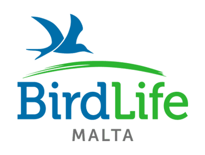BirdLife Malta