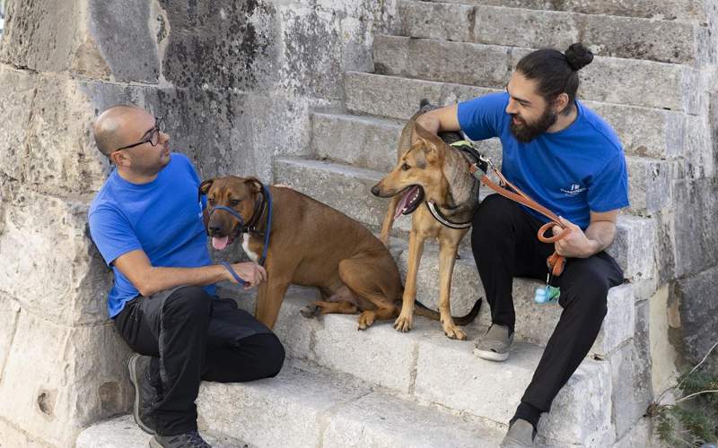 Animal Care Volunteer with MSPCA